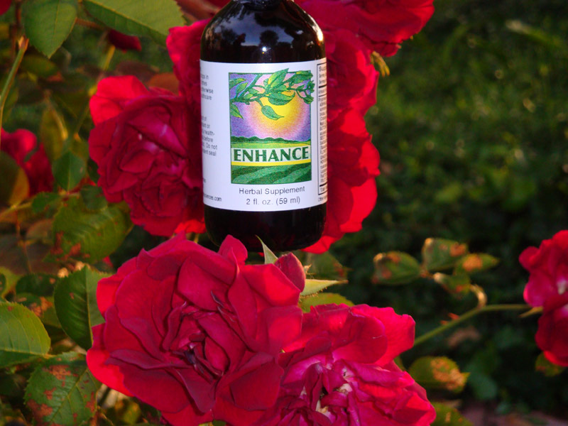 Enhance - Enhancing the Body's nutrient delivery system, the blood.
