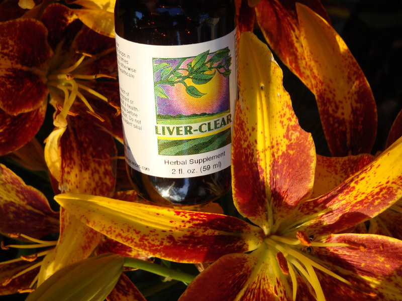 Liver Clear - Filtering the Body with the Liver