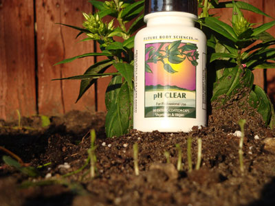 pH Clear - pH clearing supplement - part of the "Clear" Line of products